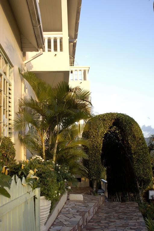 City View Hotel 킹스톤 외부 사진