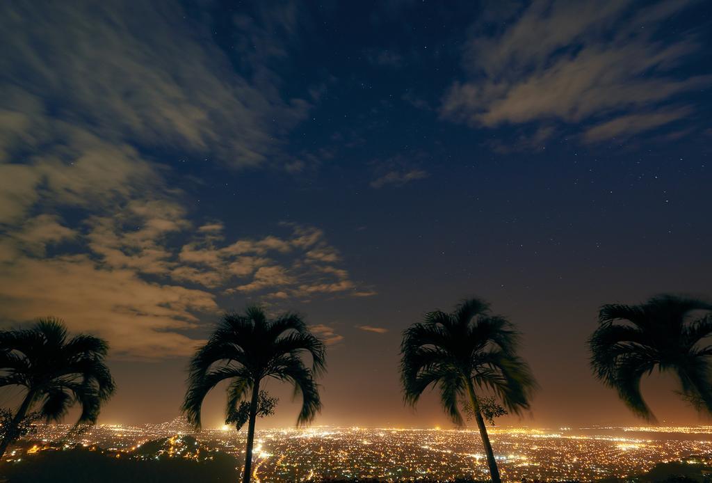 City View Hotel 킹스톤 외부 사진
